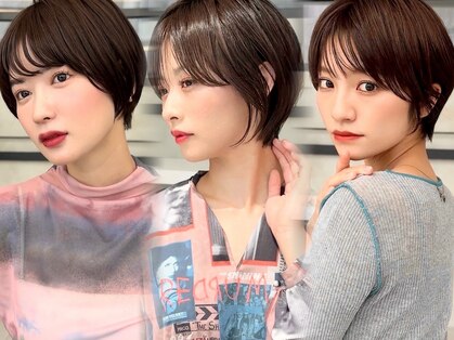 アルティファータ(artifata)の写真