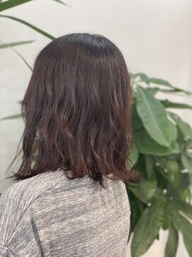 ファン(FAN) レッドブラウン