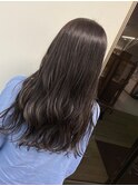 ダークパープル 小田原 伊勢原 秦野 厚木