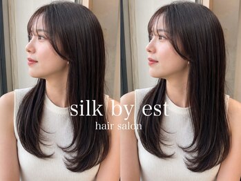 シルク バイ エスト 成増店(silk by est)の写真/髪のダメージが気になる方に是非！ダメージレスにカラーしながらのヘアケアを実現◎【縮毛矯正/髪質改善】