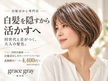 グレイス グレイ(grace gray)