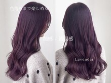 色落ちまで可愛い。U24学生に人気の【ラベンダーカラー】で叶える艶感と透明感。