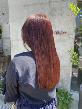 ニト(nito) redcolor