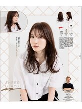 ベッツ(bets) シアーグレージュ