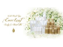 【COTA】コタヘッドスパ エヴァーリーフ