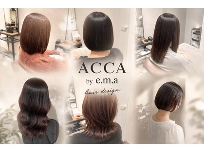 アッカ(ACCA by e.m.a)の写真