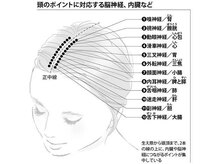 頭皮は【顔】とつながっている。と言われていますが・・・