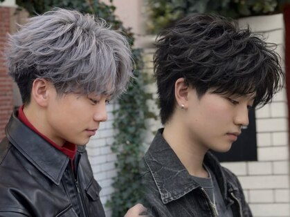 ノイル(Noil)の写真