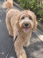 エアー 青山(AIR)&nbsp;愛犬のパン君です！ブログで近況報告してます♪