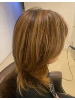 アナログノイ(analog noi)&nbsp;白髪染めハイライト