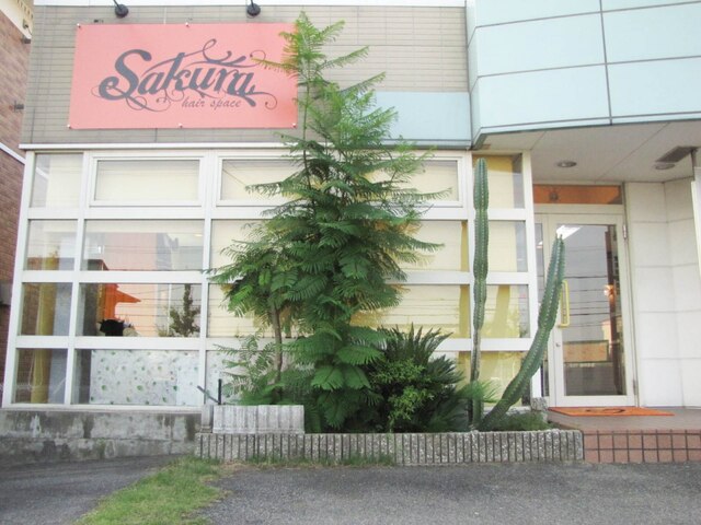 サクラ 羽束師店(SAKURA)