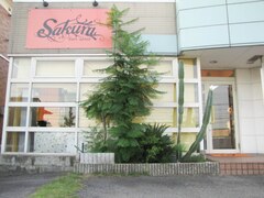 SAKURA　羽束師店