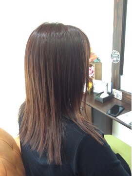 ドルセット レイヤー