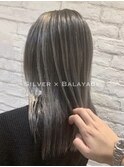 シルバーバレイアージュ