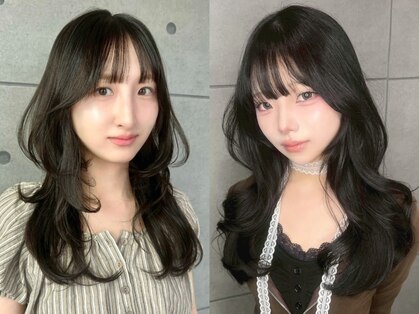 キト(kito)の写真