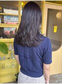 〈浅草 半個室〉スウィングレイヤー/シアーベージュ