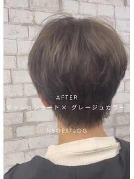 ネオエストログ(NeoestLog) ワンブリーチで作る大人アッシュグレー