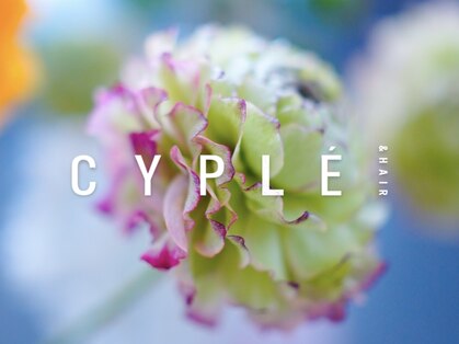 シプレアンドヘア(CYPLE & HAIR)の写真