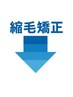 ＼クセ毛でお悩みの方へ、◎“縮毛矯正”クーポン特集 ／