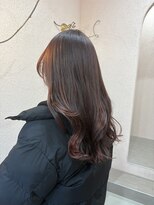 トリコ 柏(tricot)&nbsp;カシスブラウン