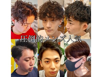 ムーン(MOON)の写真