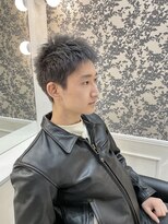 シザーズトリックス ノーブル(scissorstrix Noble)&nbsp;デザインカラー×シルバー