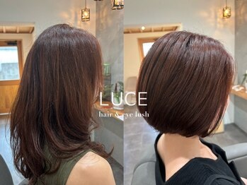 LUCE【ルーチェ】