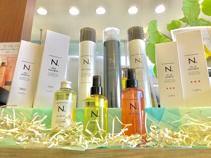 スプルース(spruce)の写真