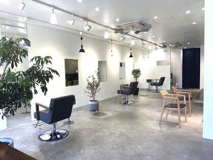 コト(coto)の写真