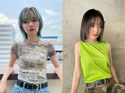 スノッブ(SNOB)の写真