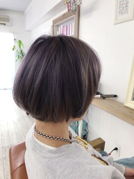 ビオラ(Viola) viola 2018 guest 15