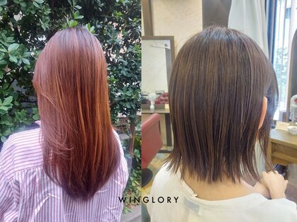 ウィングローリー(WINGLORY)の写真