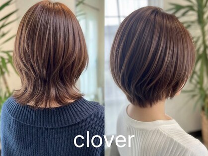 クローバー(clover)の写真