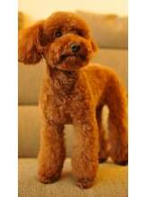 ヘアベース(Hair Base)&nbsp;Miccy 