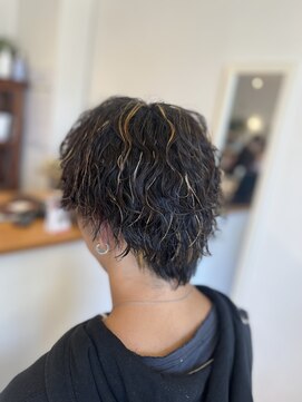 ヘアーコンセプト(HAIR CONCEPT) ハイライト波巻きウルフ