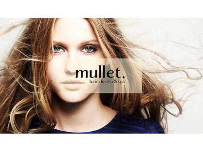 マレット 南蔵王(mullet.)の写真