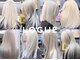 ローグ(LOGUE)の写真
