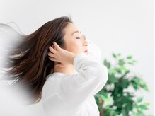 ヘアートゥリース(hair trees)