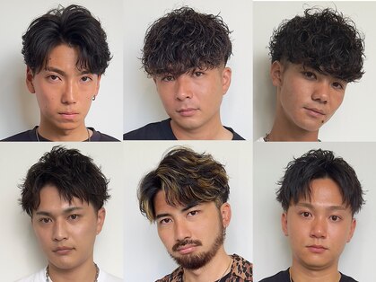 ログ(LOG)の写真