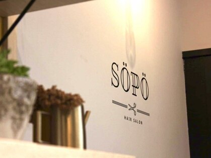 ソポ(SOPO)の写真