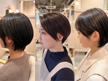 シダ(sida)