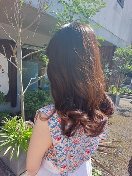 タエビスアリッサム(Taebis Alyssum) ロングレイヤー(イルミナカラー、北習志野)