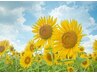 夏のイチオシ☆カット＋5種類から選べる旬のカラー＋高分子ケラチンケア