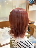 シナモンカッパーミディアム
