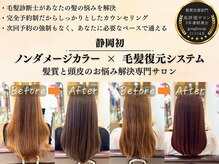 五感鷹匠 髪の診療所