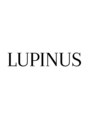 ルピナス 中田(Lupinus)/Ｌupinus