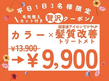 アコ(aco.)の写真