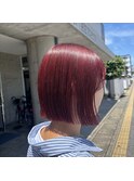 【彦根】ブリーチなしダブルカラー　チェリーレッド
