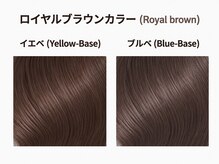 人気色｜ロイヤルブラウンカラー＊TPOを問わない万能色。圧倒的なツヤ感を引き出す最強カラー