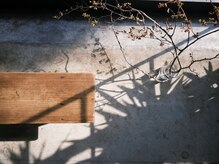 テフ(tefu)の雰囲気（静かな音楽で心地良く過ごせます）